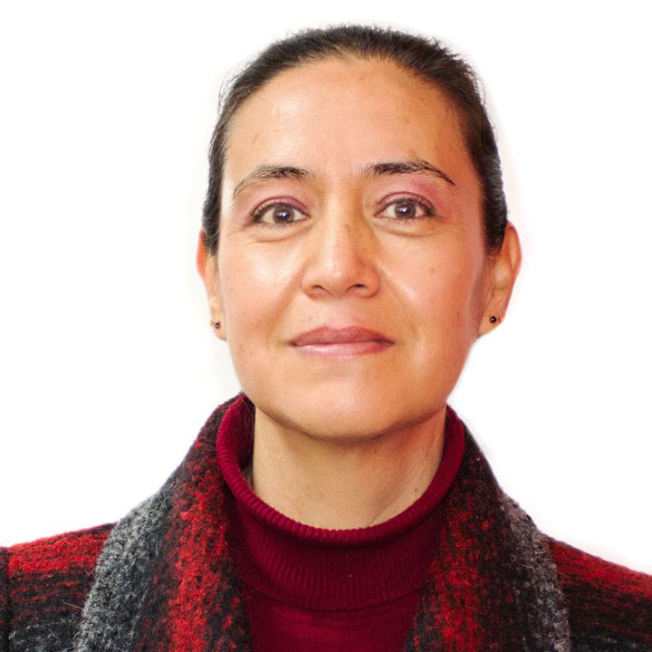 Dr. Adriana Herlinda Vilchis González